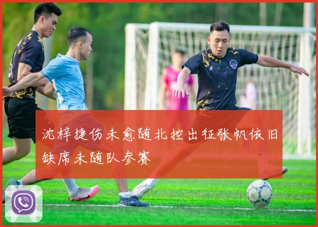 沈梓捷伤未愈随北控出征张帆依旧缺席未随队参赛